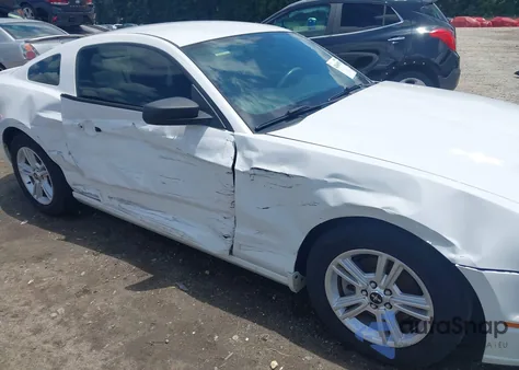 2014 Ford Mustang V6 z USA, uszkodzony, nr VIN 1ZVBP8AM8E5253563